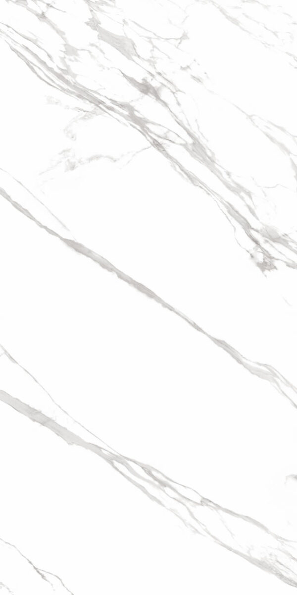 MARMO BRANCO PO 120X240    - SC