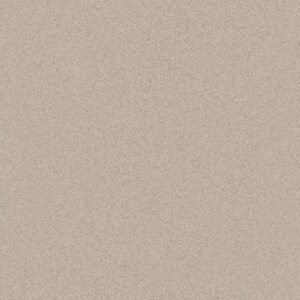 MICRON BEGE RA 60X60 - SC