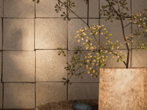 Frazione Beige 9x9