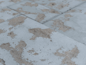 Particella GRIGIO