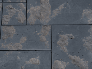 Particella GRIGIO Escuro