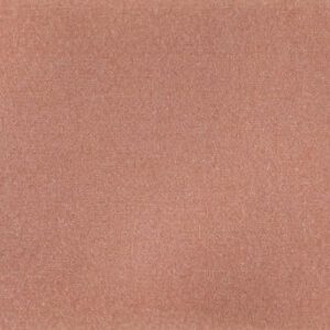 PRISMA CORAL BR 7X25 - SC