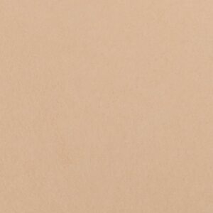 PINA ARGILA MA 60X120      - SC