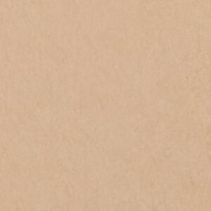 PINA ARGILA MA 29.7X120    - SC