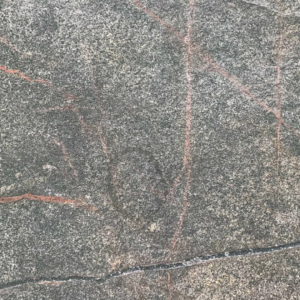 Lamina Fitflex Rain Forest