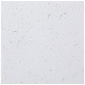 GRELHA NOVO APOLO 50X20 BRANCO