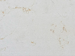 Perolato Velutato 120x120x2cm