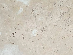 Travertino Bruto Tradicional 61X61