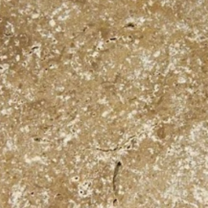 Travertino Anticato Noce 30,5X30,5