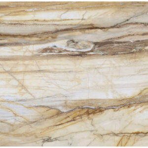 LM FOSSIL MC 100X200 R