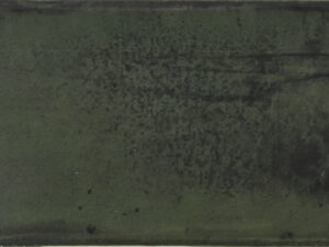 TEGEL FOREST BG 3X6